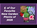 6 Favorite New Garden Plant Introductions for 2025 | Best New Plants #gardenideas #newplants