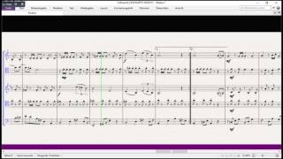 Hogwarts' March for Cello Quintett (Patrick Doyle)