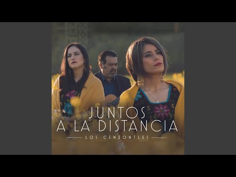 Lo Siento Mi Vida (feat. Daniel Valdez & David Hidalgo)