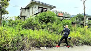 Download lagu Inspire cleanup house 2M $ shocked when weeds lawn mowing overgrown we transformation help for free mp3 Download lagu Inspire cleanup house 2M $ shocked when weeds lawn mowing overgrown we transformation help for free mp3