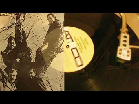 Jimmy Gilmer & The Fireballs-Bottle Of Wine (from 1968 Atco LP, CDN pressing by Quality)