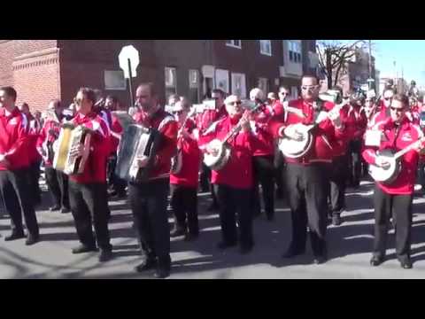 2015 Polish American String Band