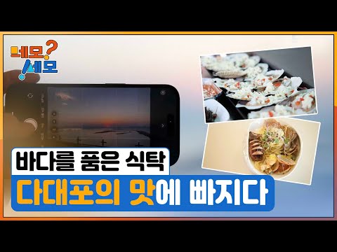 [네모세모] 다대포의 맛에 빠지다