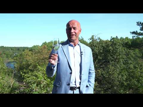 Richard Juhlin App Whats in the glass - Champagne Club