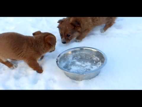 Miska termiczna innowacje