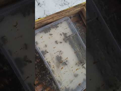 Utopljavanje košnica-najlon i sundjer