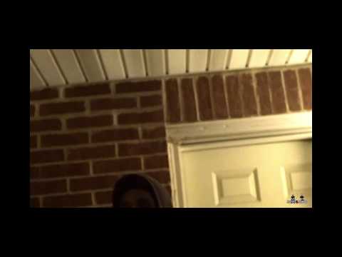 Bandzzo -Freestyle Monday