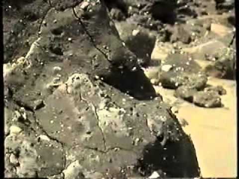 Holderness Coast GCSE Geography Case Study