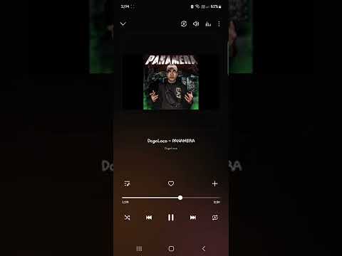 Dogo loco- PANAMERA(full vid)