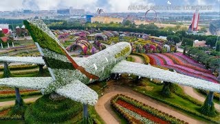 Dubai Miracle Garden #2022!