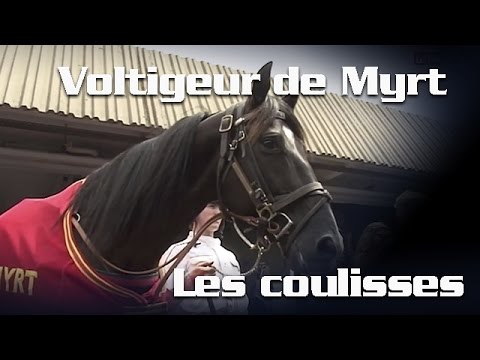 Prix René Ballière 2015 - Voltigeur de Myrt survole les débats