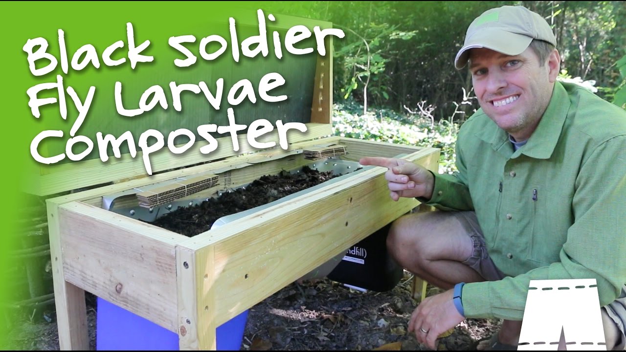 How To Make A DIY Soldier Fly Larvae Composting Bin