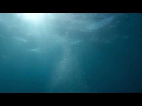 Video thumbnail for Pure Shores (Tourist Extended Mix)