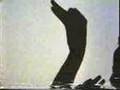 Classic Sesame Street Shadow Puppet Swan