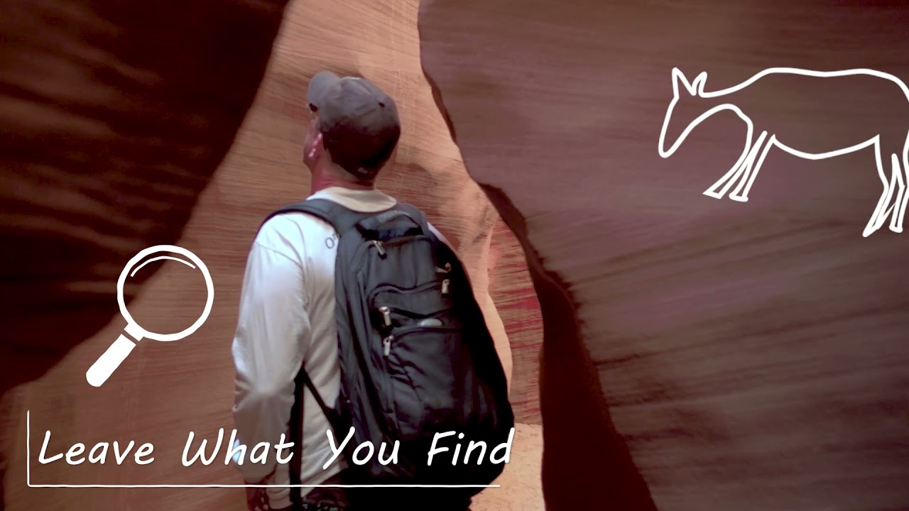 Appreciate AZ in 2022