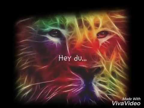 Beste Löwe der Welt 😇😇😇