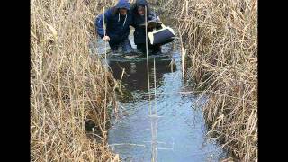 Agim Gashi - Dhifqat E Kosovës