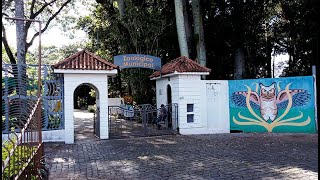 ZOOLÓGICO DE CACHOEIRA DO SUL - RS