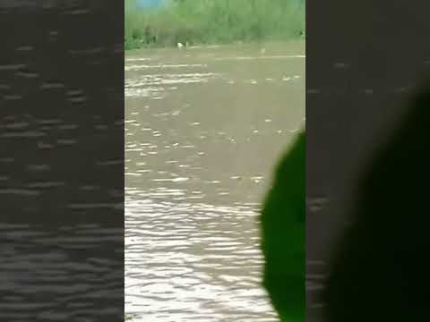 chumki ❤️ mamber