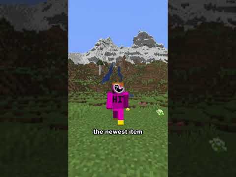 the newest item in minecraft...