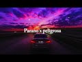 Parano X Peligrosa Slowed And Reverb Aesthetic Edit