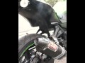 Yoshi