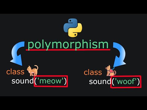 The Polymorphism Trick Every Python Beginner Needs