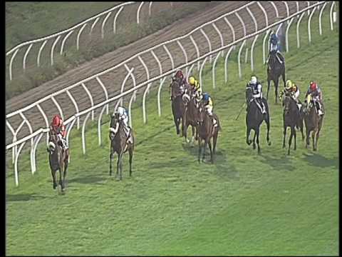 Galoppo 08/03/2017 - 5ª corsa