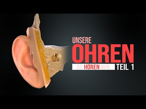 Das menschliche Ohr - Teil 1 - Hören (Animation)
