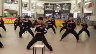 West Edmonton Mall Taegeuk Taekwondo Demo Team Performance