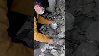 Process of Making Beautiful Mother-of-pearl from Seashells #allprocessofworld