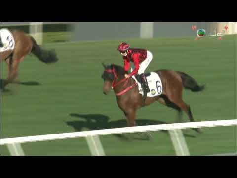 2021/22 (381) - CrossFord (跨渡口) - 波健士 (轉戰贏馬路程再贏一仗)