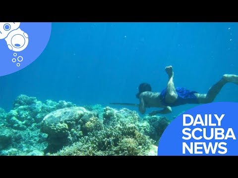 Daily Scuba News - Bajau People Evolved Bigger Spleens