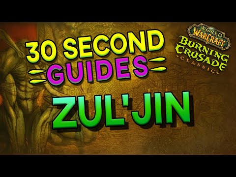 Zul'jin - Zul'Aman - 30 Second Guides
