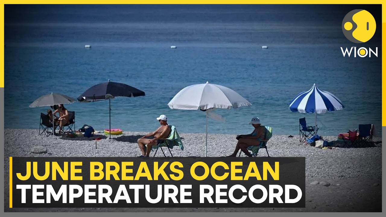 Massive Sea Surface Heating Alarms Global Climate Researchers | WION