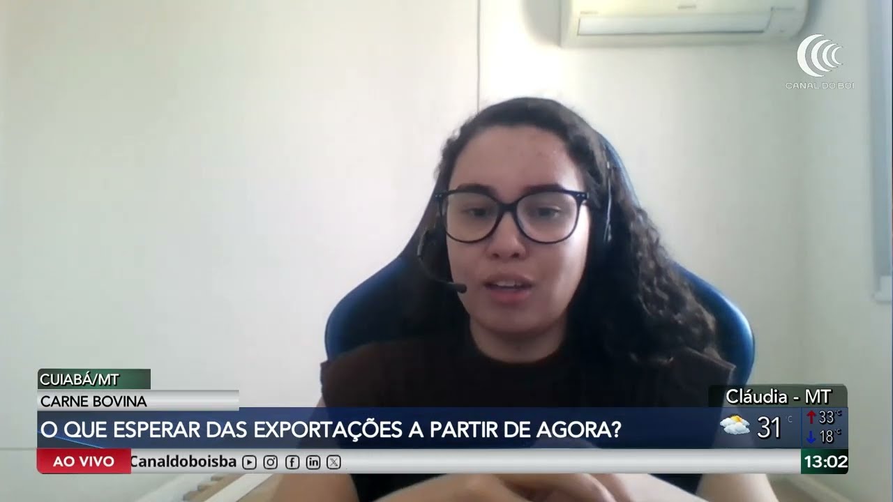 Mercado do boi segue pressionado e exportações entram no foco