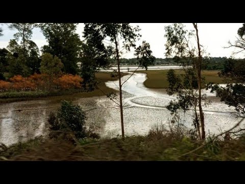 Tour 🚗 desde Parque del Plata hasta Costa Azul, Canelones, Uruguay🇺🇾