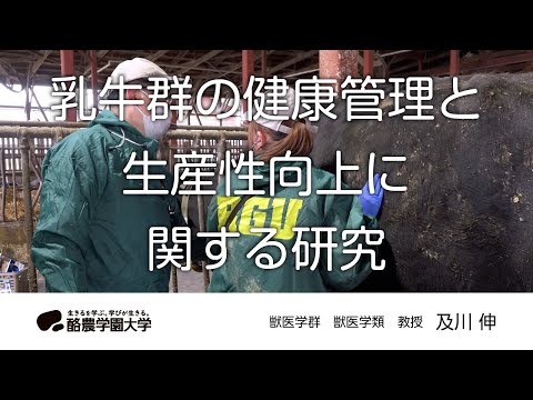 先端経営学科 獣医学類　及川　伸　｜　酪農学園大学　研究室・ユニット紹介