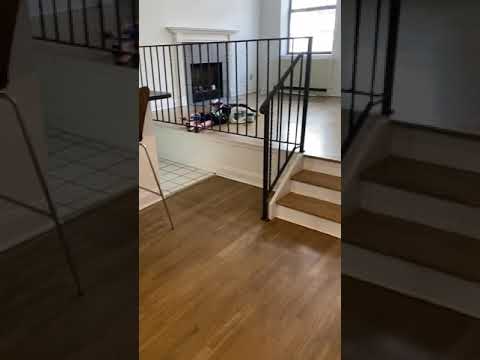 video 1