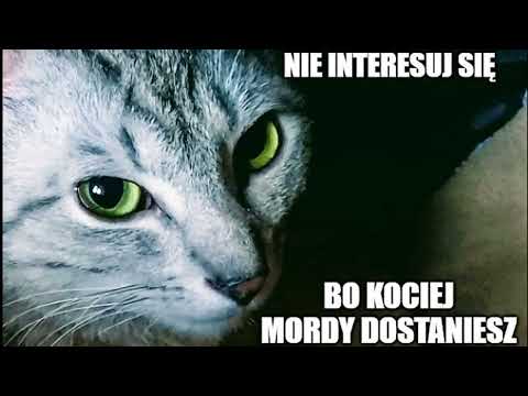 NIE INTERESUJ SIĘ FREESTYLE 