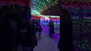 東京ドイツ村イルミネーション