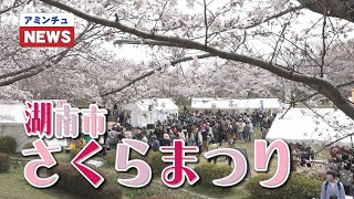 【アミンチュニュース】 第30回湖南市さくらまつり開催