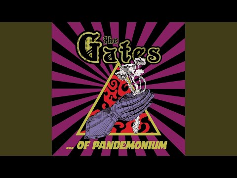 The Gaze of the Beast