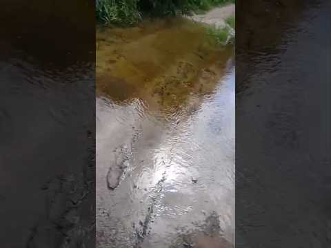 rio com água corrente após as chuvas 2026 pedra branca ceará