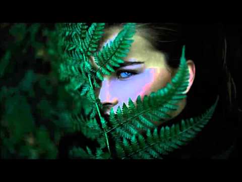 download lagu mp3 mp4 Can You Hear Me Denis Kenzo, download lagu Can You Hear Me Denis Kenzo gratis, unduh video klip Can You Hear Me Denis Kenzo