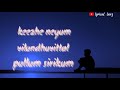 Thapellam Thape Illai Song Whatsapp Status Naan Movie