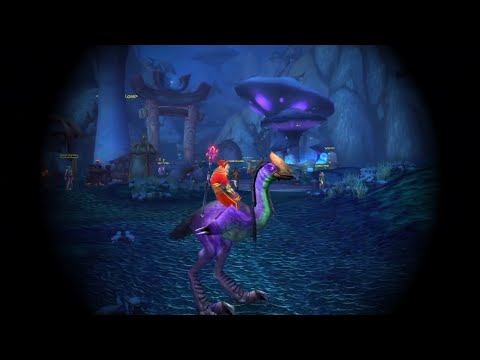 Level 58 Booster Discovers Zangarmarsh