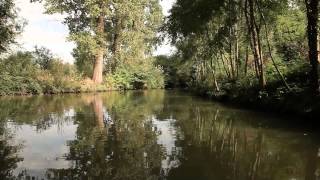 preview picture of video 'Balade en barque dans le Marais poitevin'