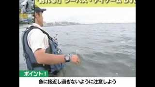 DAIWA SHORE LINE SHINER R40 LD S-G