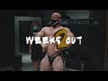 Shredded: 2 Weeks Out
